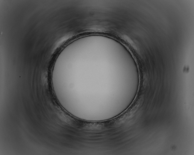X0000101191307200807181501