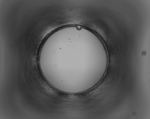 X0000101191308200807181501