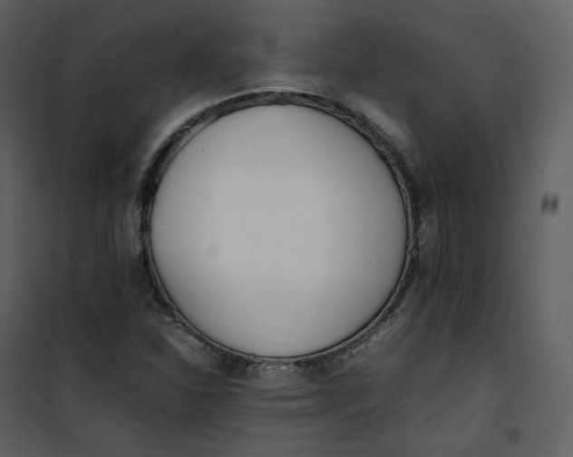 X0000101191310200807181501