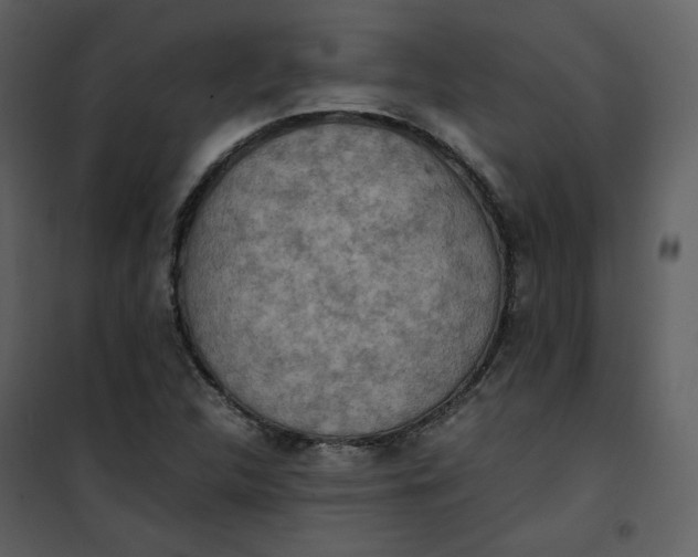 X0000101191312200807181501