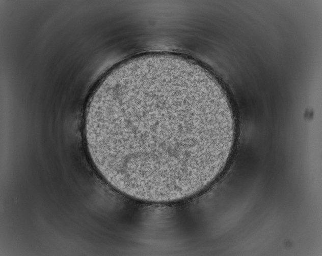 X0000101191314200807181501