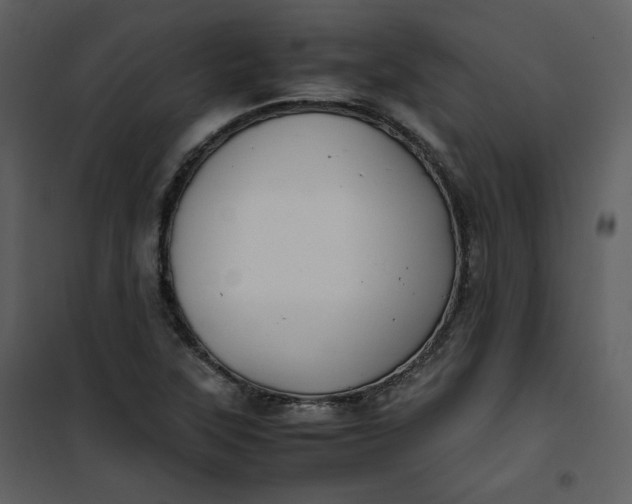 X0000101191315200807181501