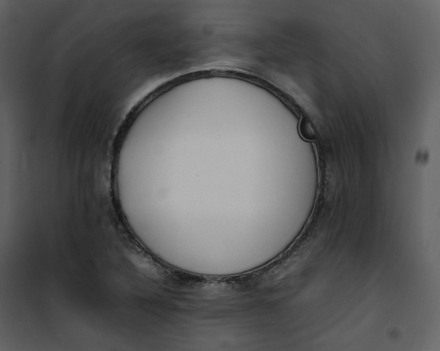 X0000101191316200807181501