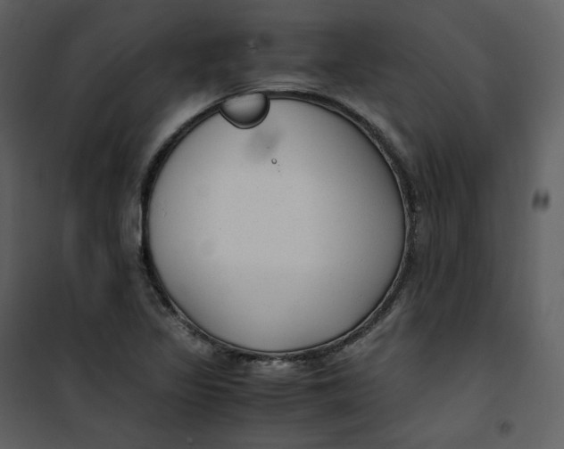 X0000101191317200807181502
