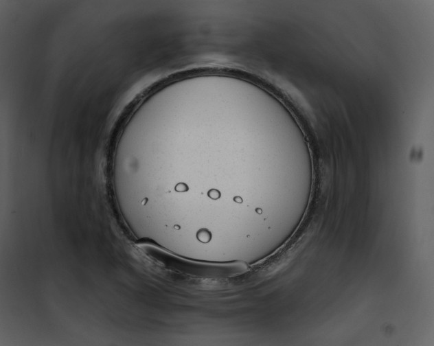 X0000101191318200807181502