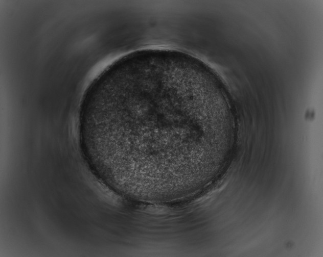 X0000101191319200807181502