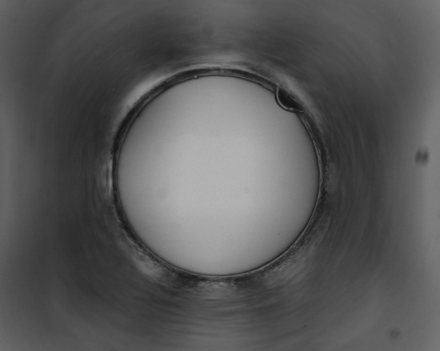 X0000101191320200807181502
