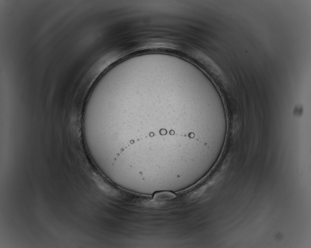 X0000101191321200807181502