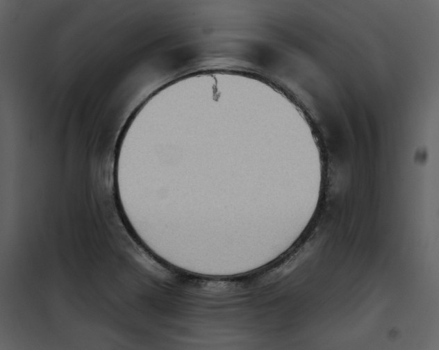 X0000101191322200807181502
