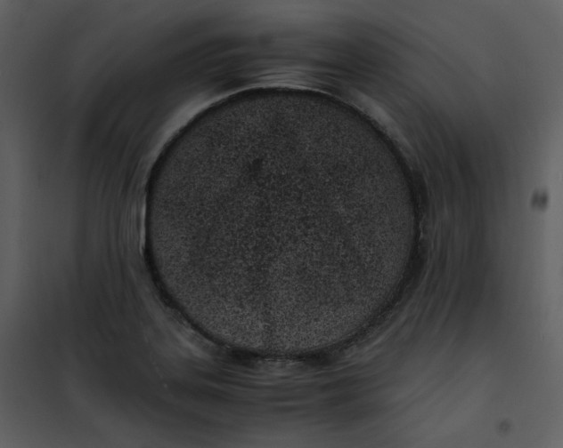 X0000101191323200807181502