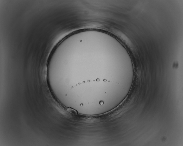 X0000101191324200807181502
