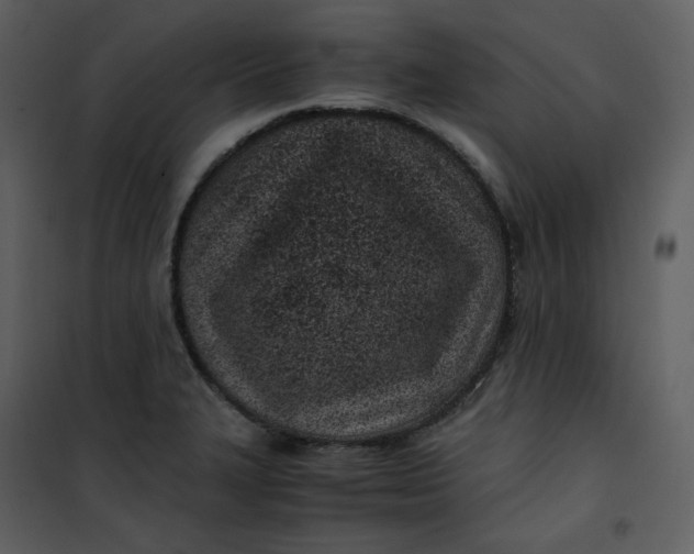 X0000101191327200807181502