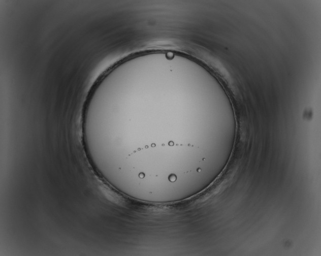 X0000101191328200807181502