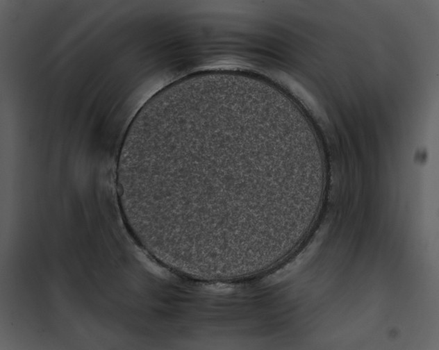 X0000101191329200807181502