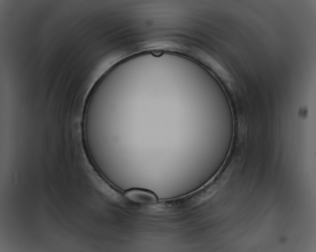 X0000101191330200807181502