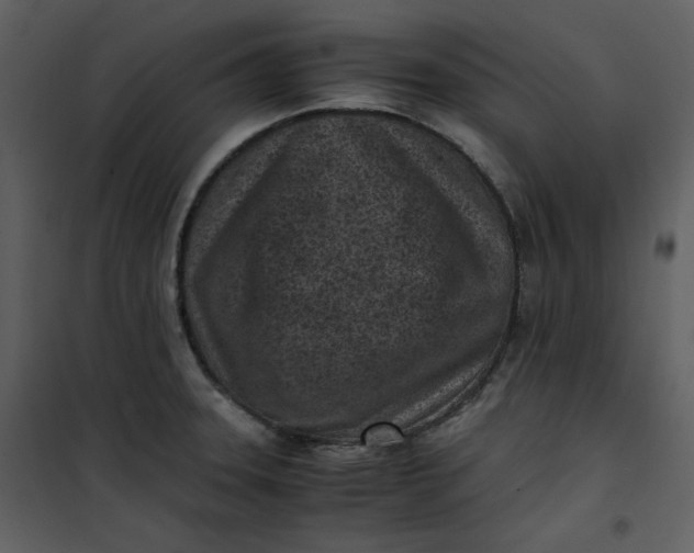 X0000101191331200807181502