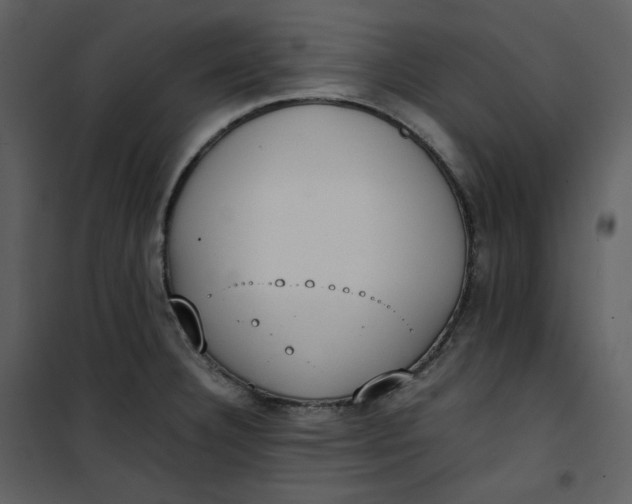 X0000101191332200807181502
