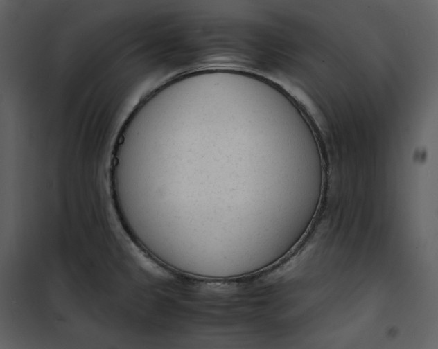 X0000101191333200807181502