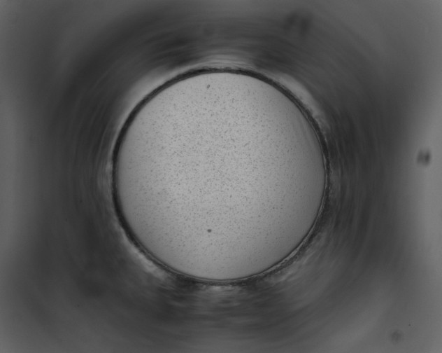 X0000101191335200807181502