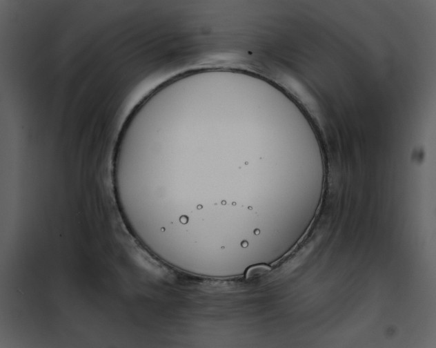 X0000101191336200807181502