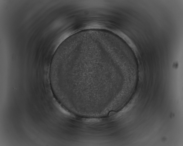 X0000101191337200807181502