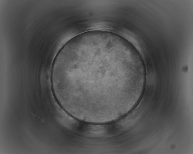 X0000101191338200807181502