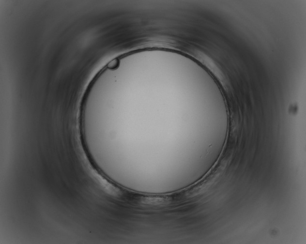 X0000101191339200807181502