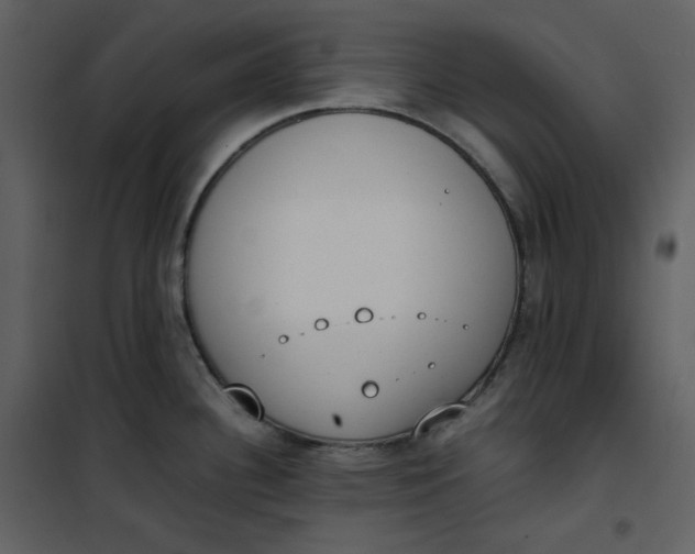 X0000101191340200807181502