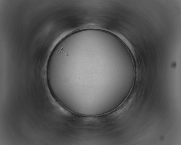 X0000101191341200807181502