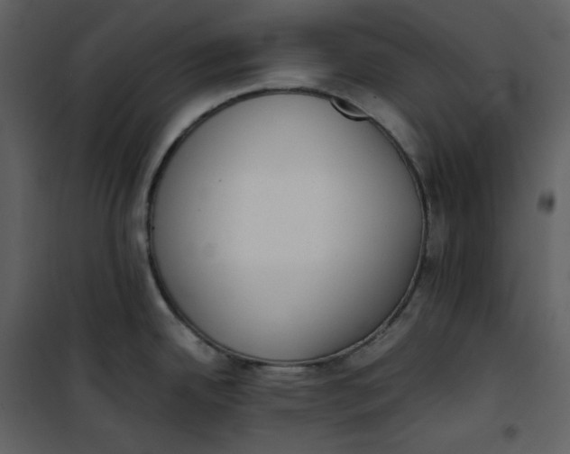 X0000101191342200807181502
