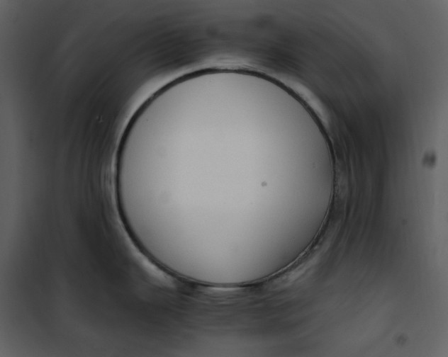 X0000101191343200807181502