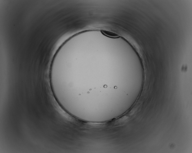 X0000101191344200807181502