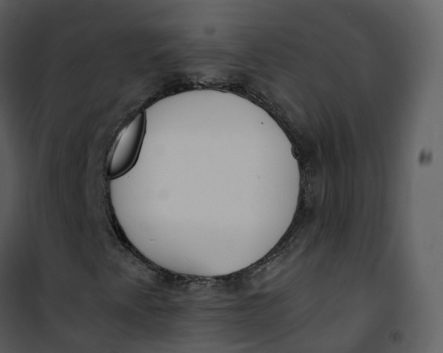 X0000101191345200807181501