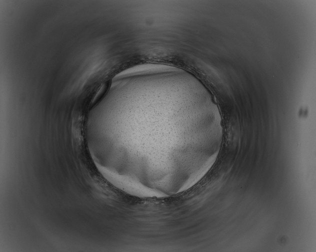 X0000101191346200807181501