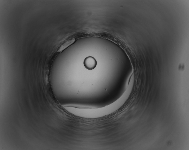 X0000101191348200807181501