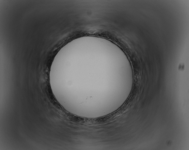 X0000101191349200807181501