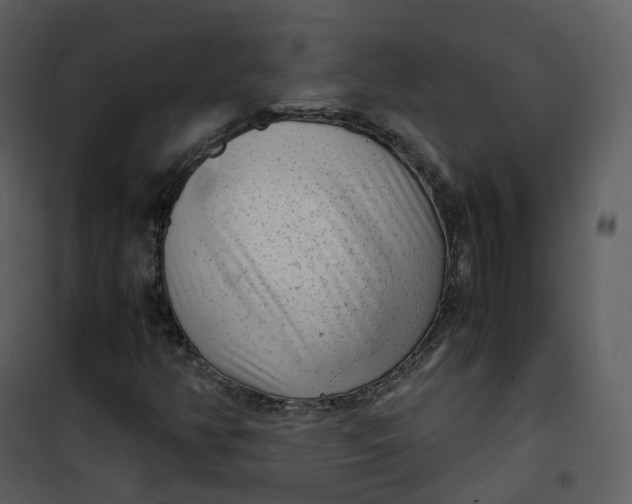 X0000101191350200807181501