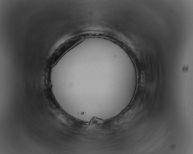 X0000101191352200807181501