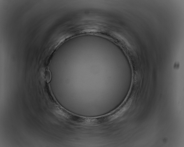 X0000101191353200807181501