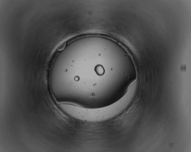 X0000101191356200807181501