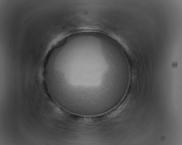 X0000101191357200807181501