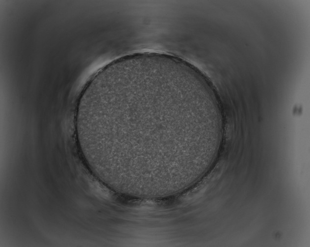 X0000101191359200807181501