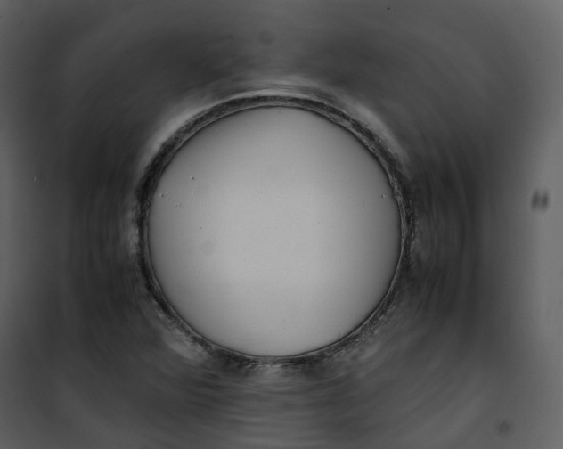 X0000101191360200807181501
