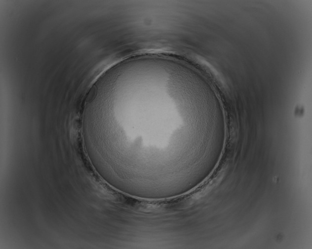 X0000101191361200807181501