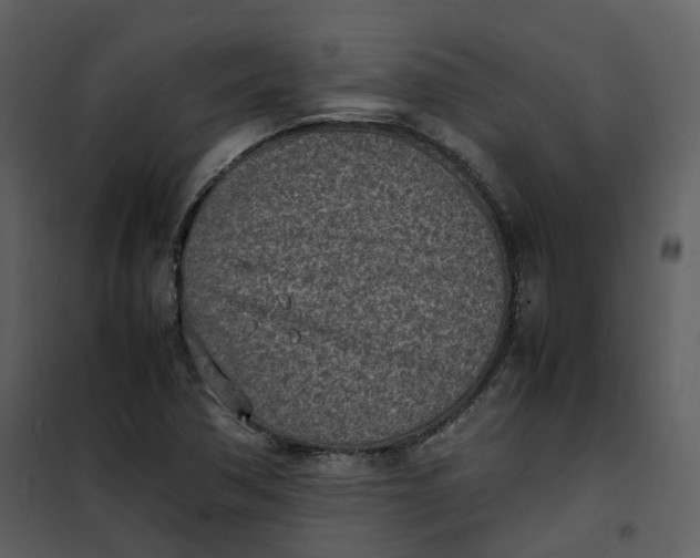 X0000101191362200807181501