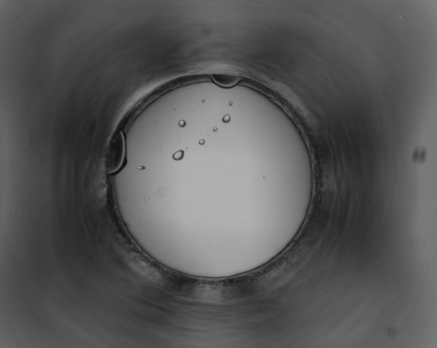 X0000101191364200807181501