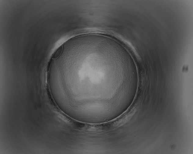 X0000101191365200807181501