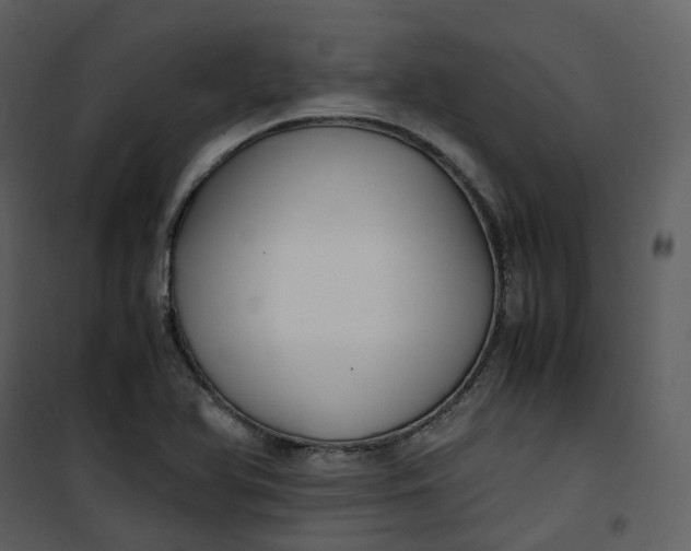 X0000101191366200807181501