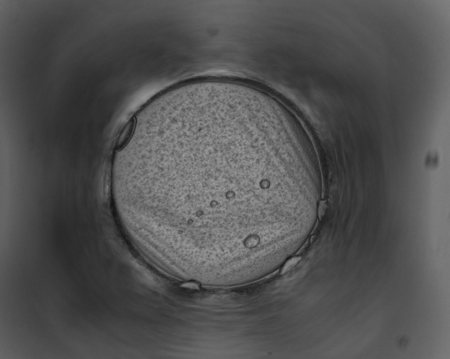 X0000101191367200807181501