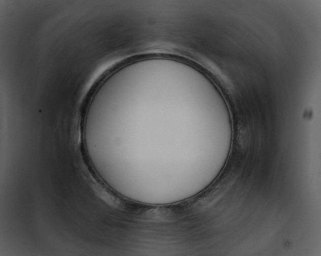 X0000101191368200807181501